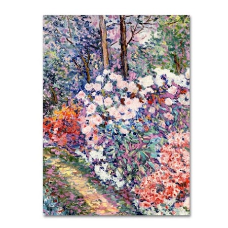 Manor Shadian 'Flowers In The Forest' Canvas Art,24x32